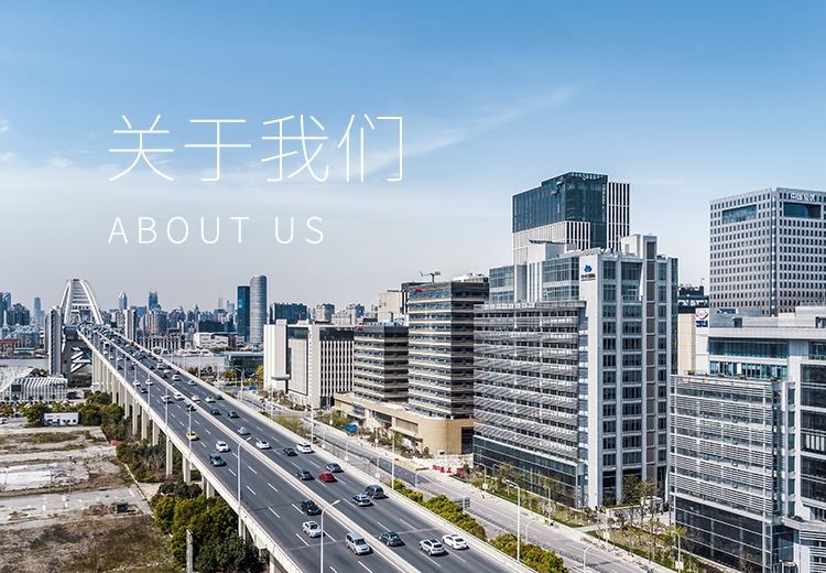 关于z6mg人生就是博 