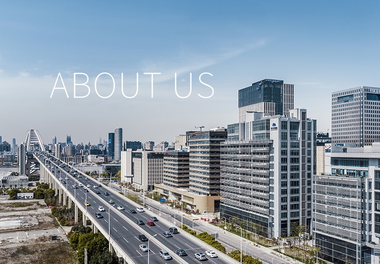 关于z6mg人生就是博 